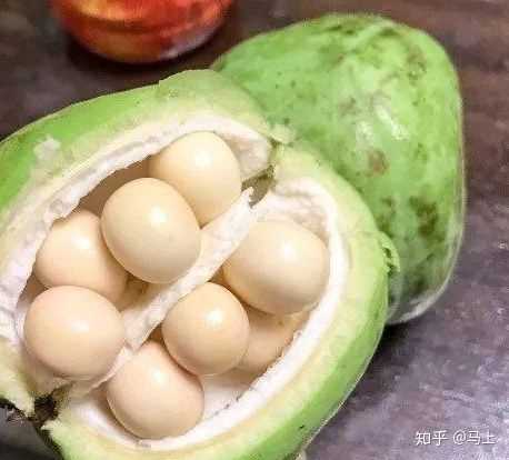 文冠果,吃的是里面白色的果肉,有淡淡的甜味.