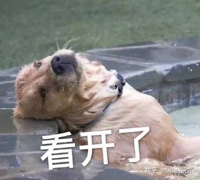有哪些对视力伤害很大的行为 知乎 有哪些对视力伤害很大的行为 知乎
