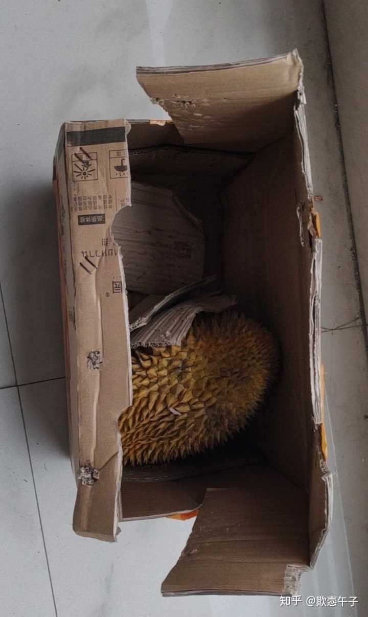 一箱榴莲,2个,直接寄到了学校.