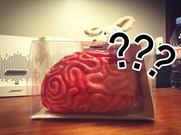 你收到的最奇葩的礼物是什么?