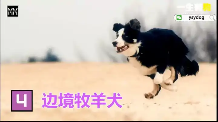 v2-9d7096857f43b92f8231b0f997ffed37_hd.jpg