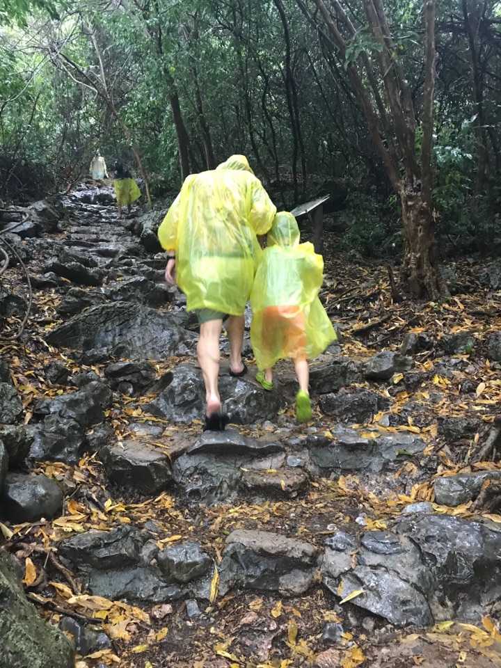 当自由职业者对孩子的教育有啥有利和不利的影响