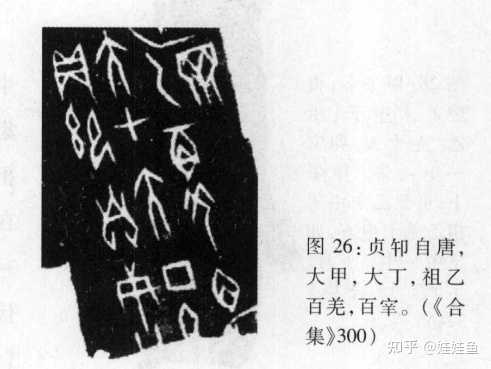 有什么听起来很神奇的语言学事实? - 知乎