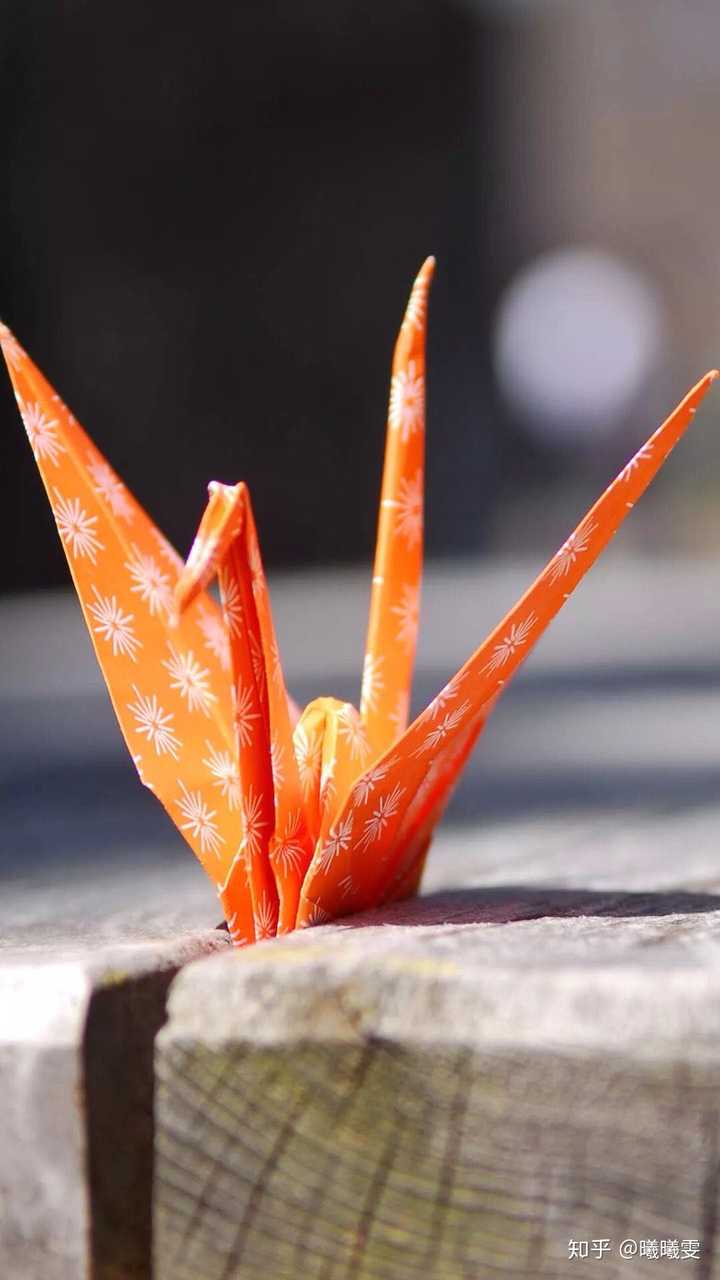 哪个有红色千纸鹤的美图吗?