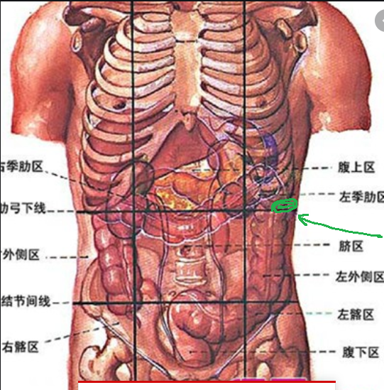 肋骨末端及下方疼痛 知乎