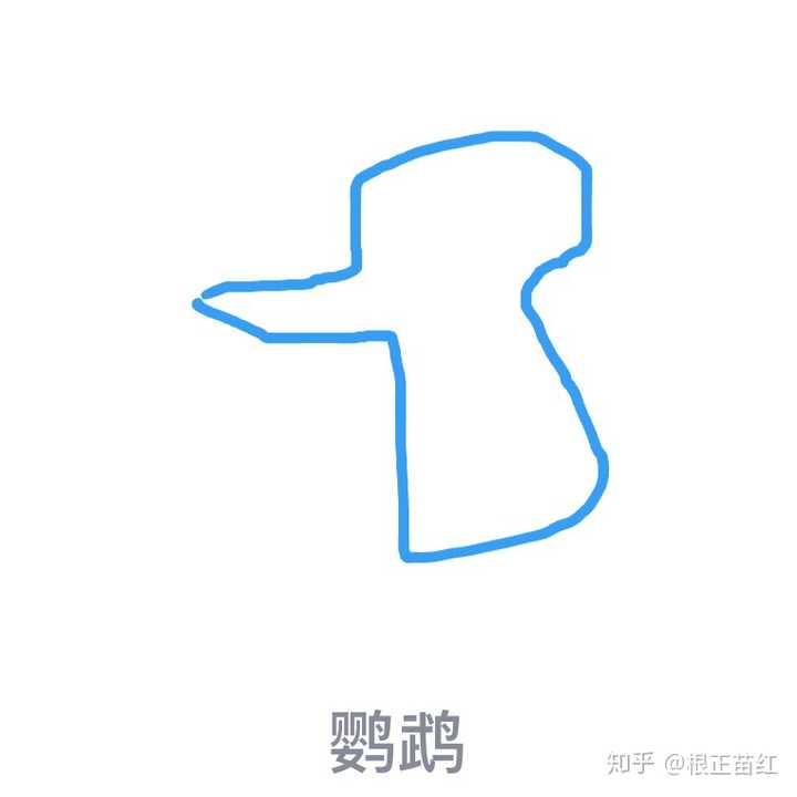 qq红包鹦鹉怎么画图片