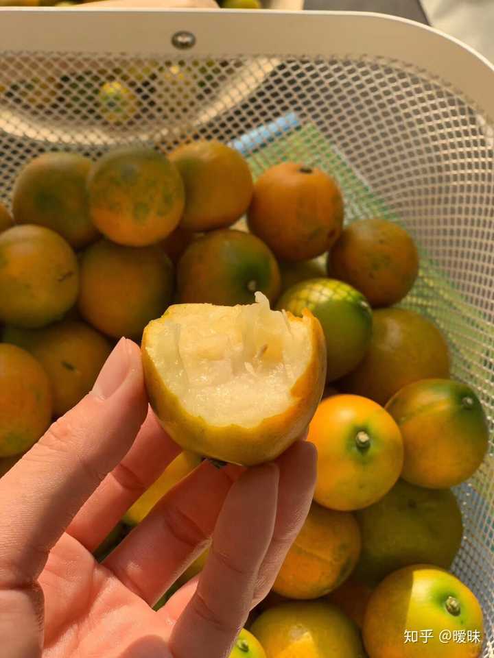 一年12个月对应的应季时令水果蔬菜有哪些 知乎 一年12个月对应的应季时令水果蔬菜有哪些 知乎