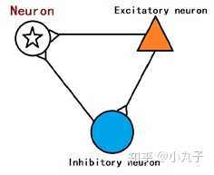 神经科学中的前馈抑制和反馈抑制应该如何理解？ - 知乎