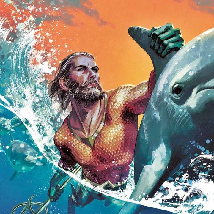 海王(美国dc漫画旗下超级英雄)