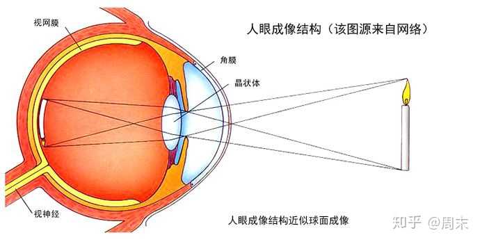 是因为光进入眼镜经晶状体成像于视网膜上
