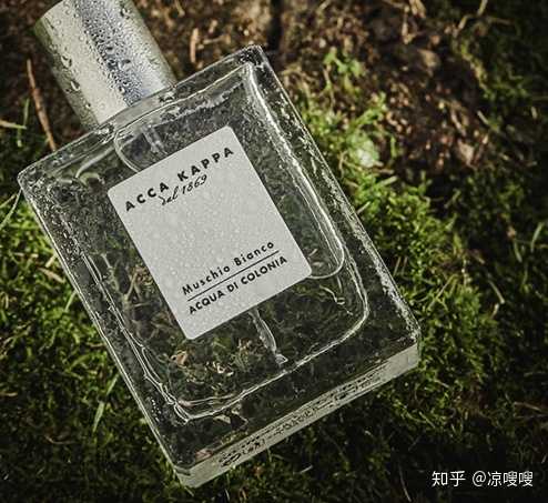 有哪些类似雨水味道的香水推荐呢 凉嗖嗖的回答 知乎
