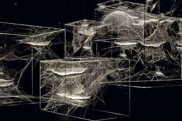 你被哪个当代艺术作品感动过或者震撼过?