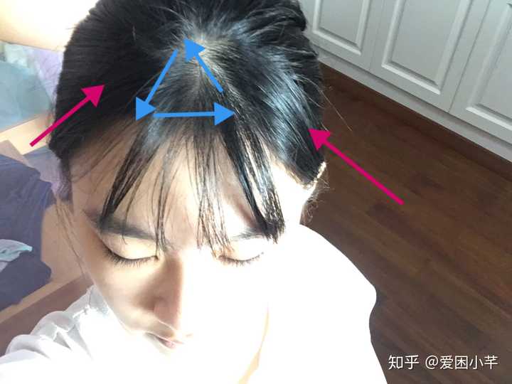 找一个三角,如图中蓝色区域(不要太大,自己掂量,因为剪完后头发会分散