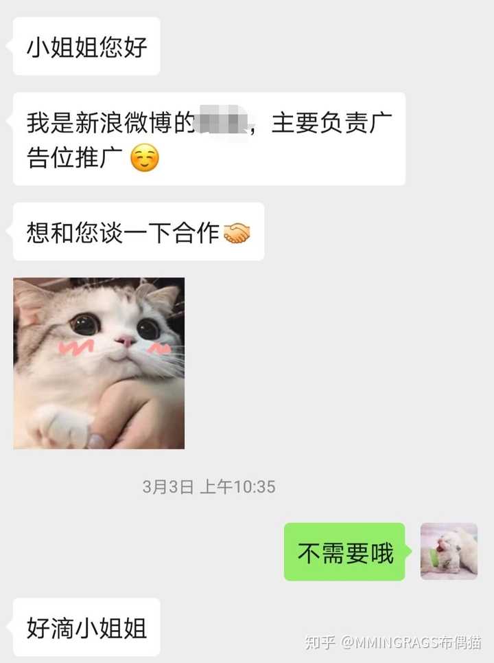 买猫的时候被猫舍鄙视是什么感受 知乎