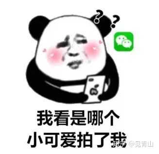微信拍一拍有什么好玩的表情包啊？