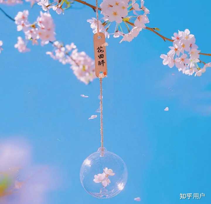 有什么适合周五的文案? - 知乎