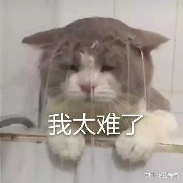 迄今为止 你感到 生理上 最痛的一次经历是什么 知乎