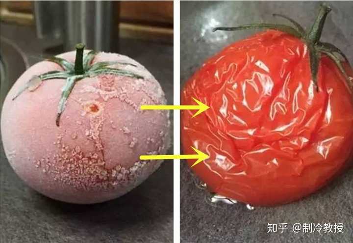 西红柿能冷冻储存吗?