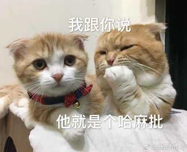 被别人取难听的外号是怎样的体验 知乎