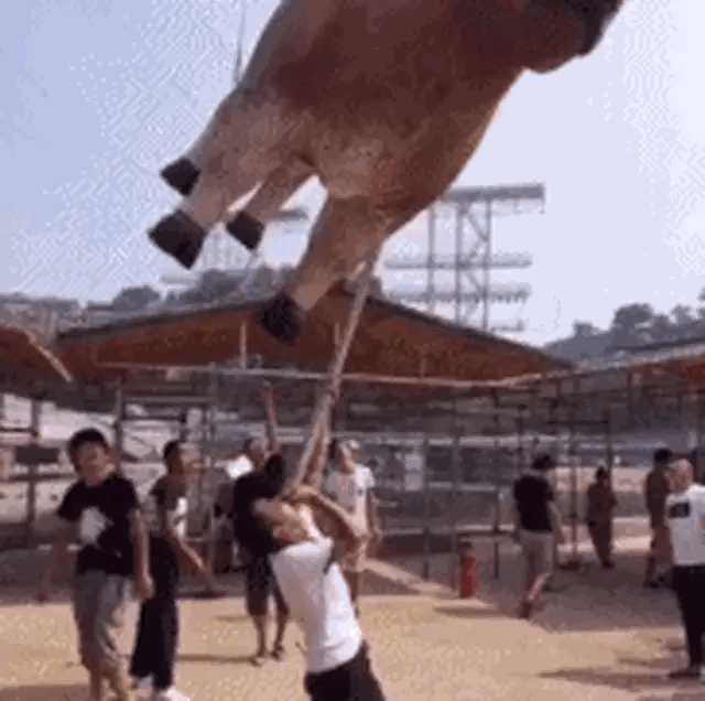 动图封面