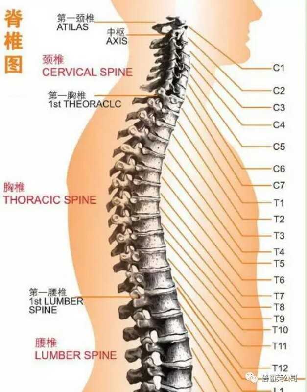 办公室一族有颈椎病 经常头晕 有什么高效的改善劲椎状况的方法没 知乎