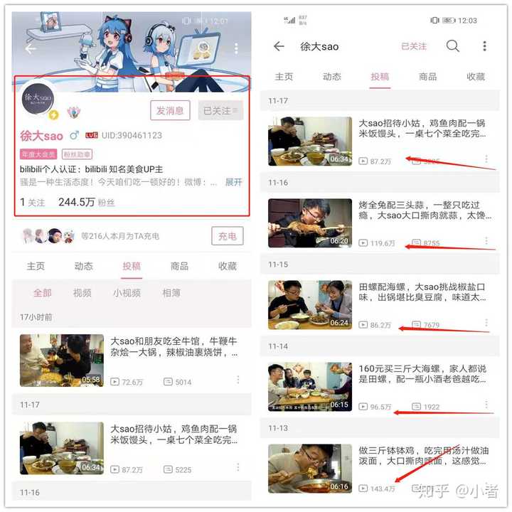 下面,我就给大家讲讲 如何成为一名b站up主,又如何才能获得收益.