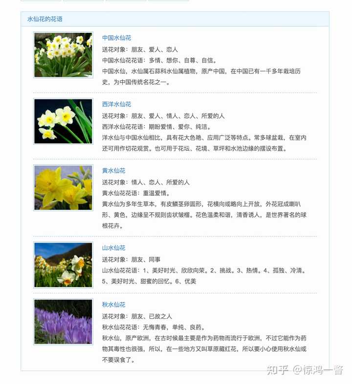 常见的花的花语是什么 知乎