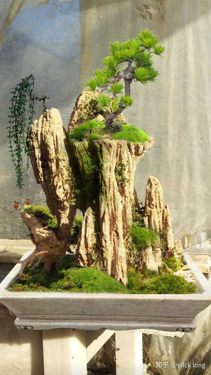 今天入手了一块上水石想给上面种点绿植种什么植物种在什么位置感谢