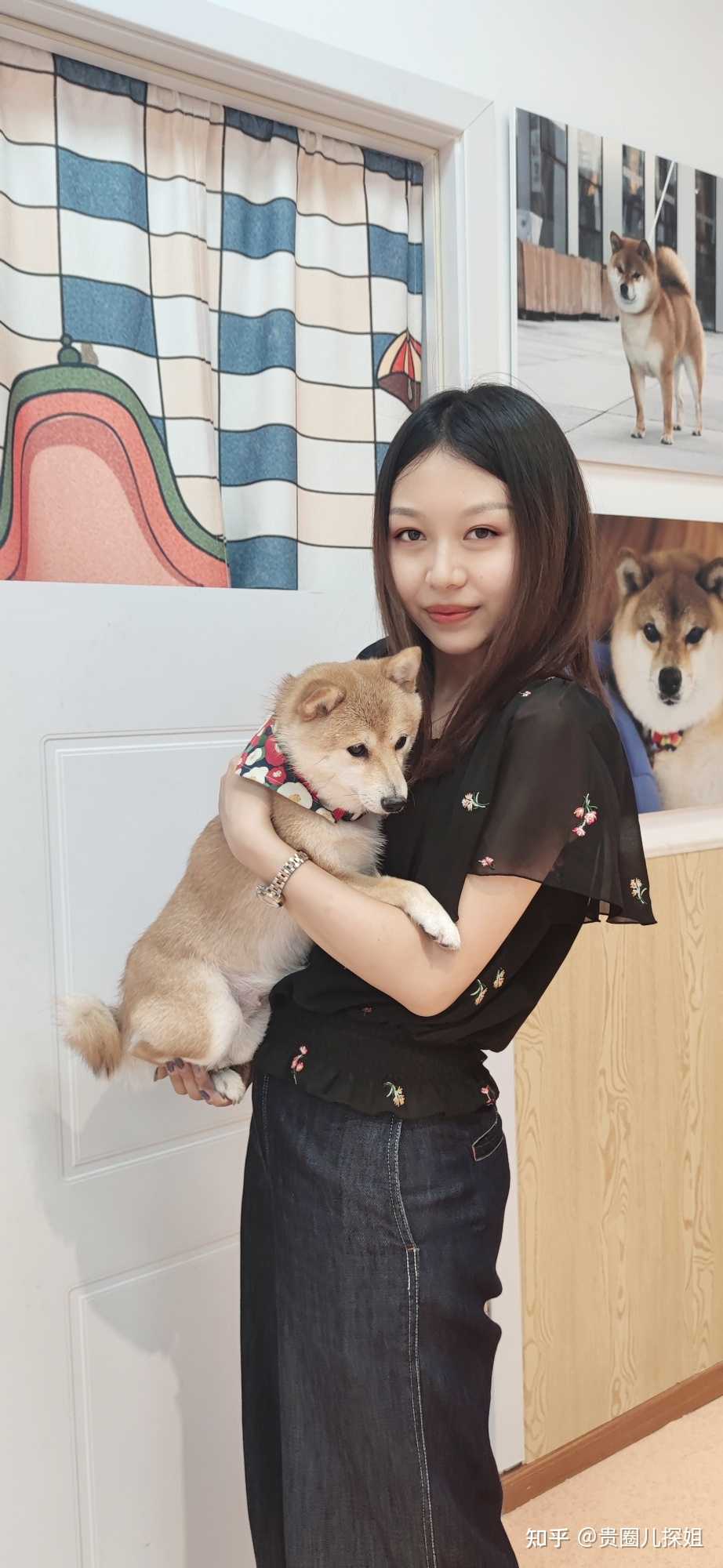 贵圈儿探姐 的想法: 连狗都在笑你,狗才不会笑呢 - 知乎