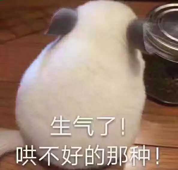 有哪些可以哄女朋友的表情包?