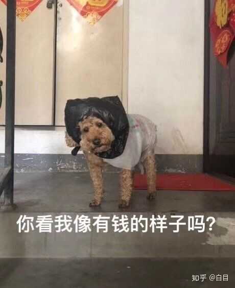 双眼皮贴能否贴出永久双眼皮 知乎