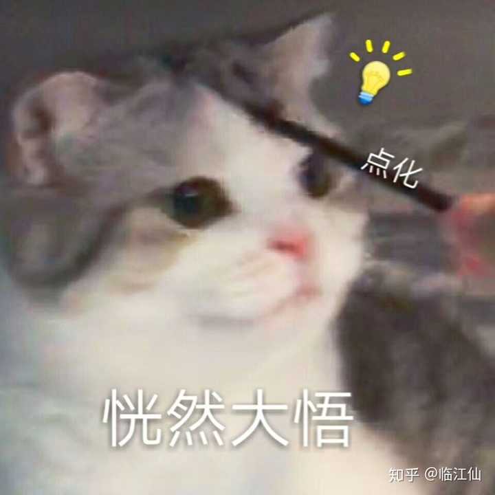 如何用 一觉醒来 发现女朋友变成了猫 为开头写一篇小说 知乎