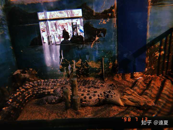 如何看待南京红山动物园园长 我等了三个多月 还没有多少人来报复我 动物园将如何生存下去 让我很焦虑 知乎 如何看待南京红山动物园园长 我等了三个多月 还没有多少人来报复我 动物园将如何生存下去 让我很焦虑 知乎