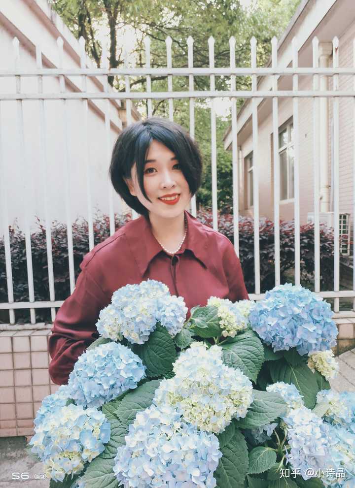 什么花最好养活且鲜艳 知乎