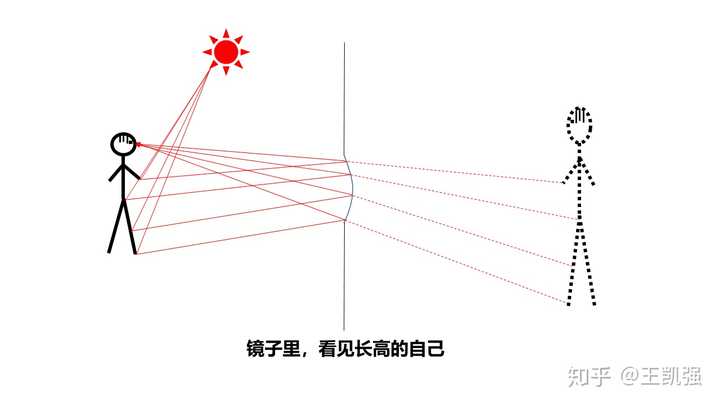 镜子左右的 这些光线是关于镜面轴对称的,所以你看到的"你",是等比例