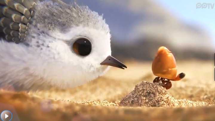 如何评价获得第 89 届奥斯卡最佳动画短片的皮克斯动画短片《鹬》（Piper）？ - 知乎