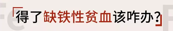 人体缺铁时吃以下哪种食物效果更好
