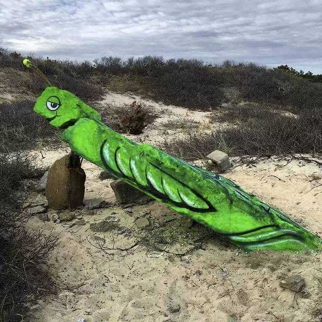 你有哪张(些)脑洞大开的图片?