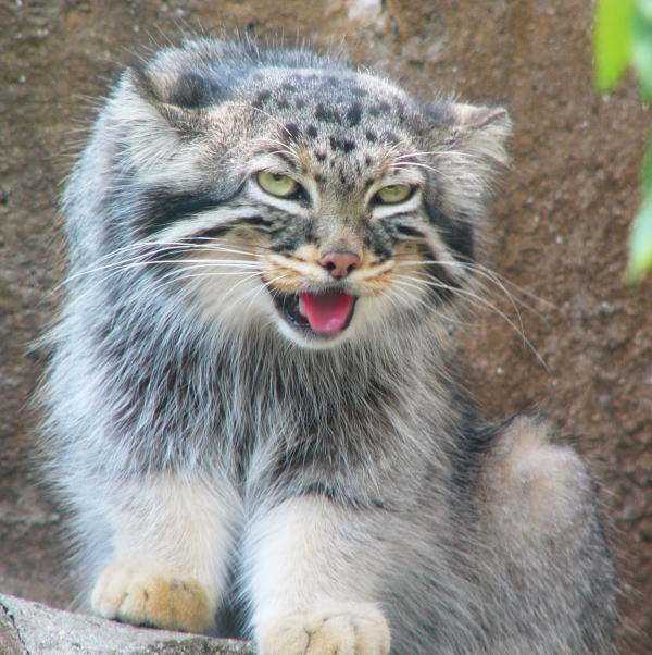 如何看待「甘肃 19 岁高三少女因被班主任猥亵跳楼