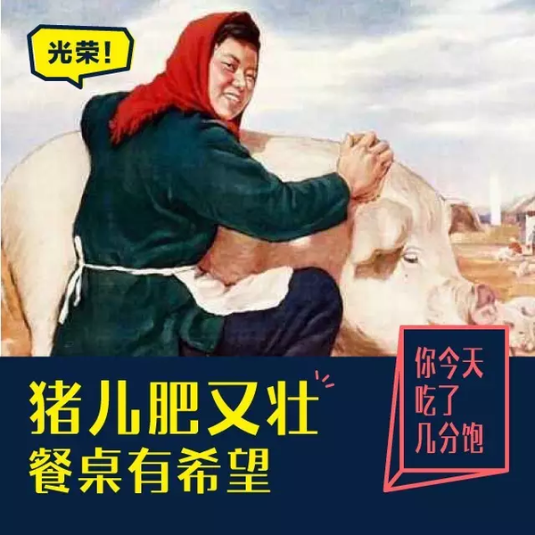 猪哪个部位的肉最好吃？