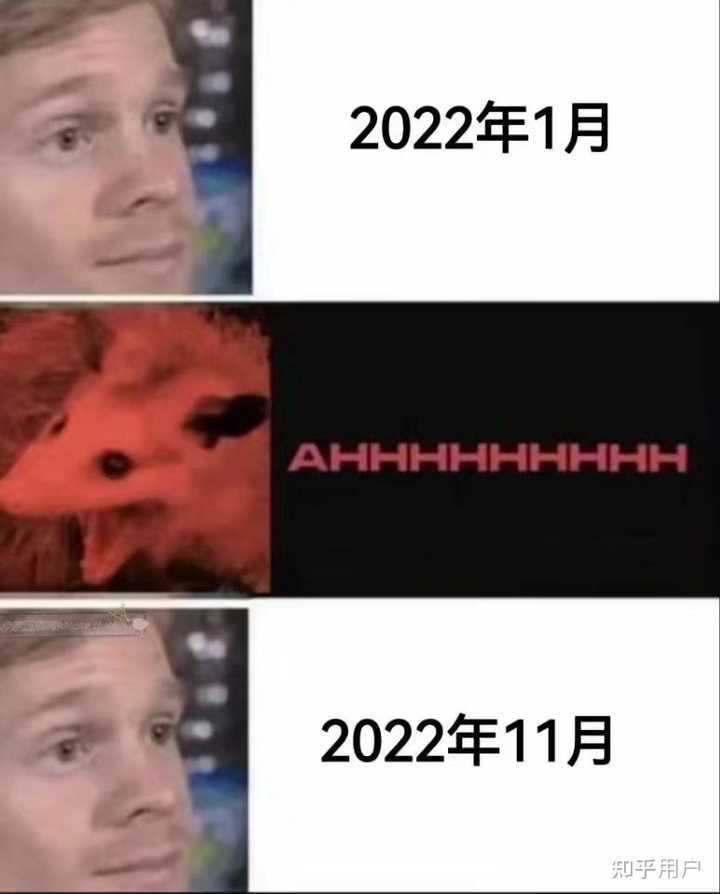 有哪些有趣的互联网MEME图/梗图/迷因图? - 知乎