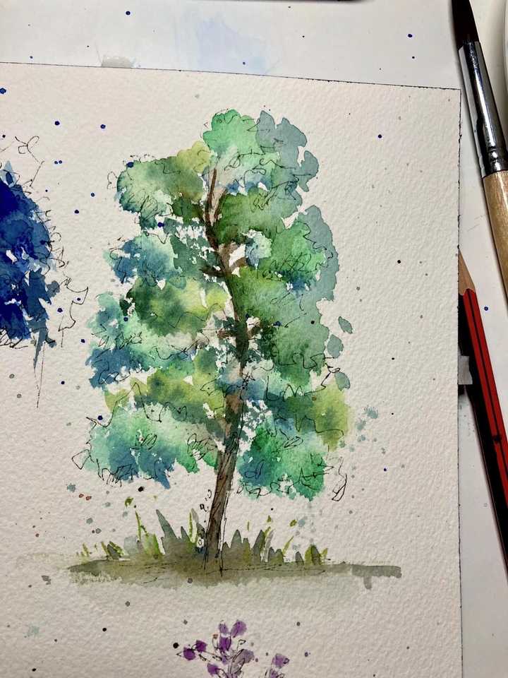 喜欢植物是一种怎样的体验 知乎 喜欢植物是一种怎样的体验 知乎