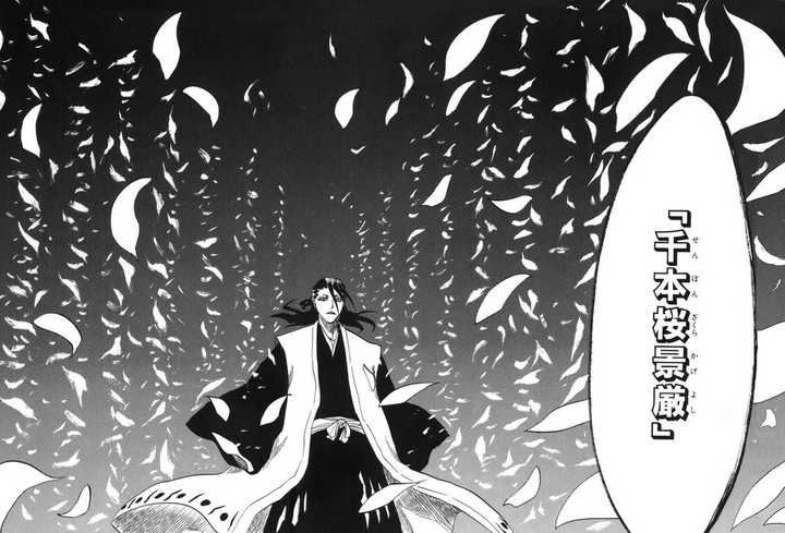 的: 朽木白哉的 "散落吧,千本樱景严" 以及各种鬼道: 破道之九十 黑棺