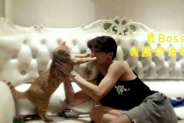 你知道哪些爱猫的大人物 知乎 你知道哪些爱猫的大人物 知乎
