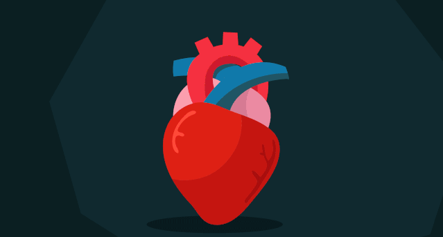 有氧运动和无氧运动有哪些区别 知乎