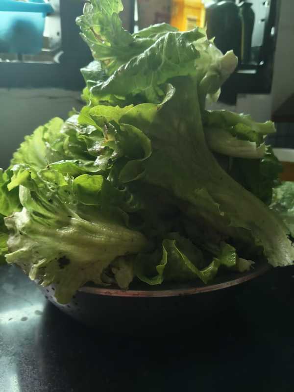 你觉得这世界上最快乐的事情是什么?