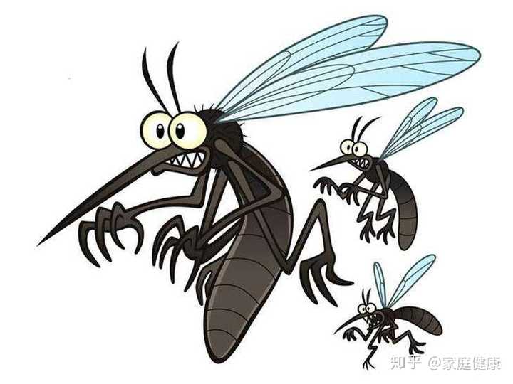 如何让蚊子害怕我?