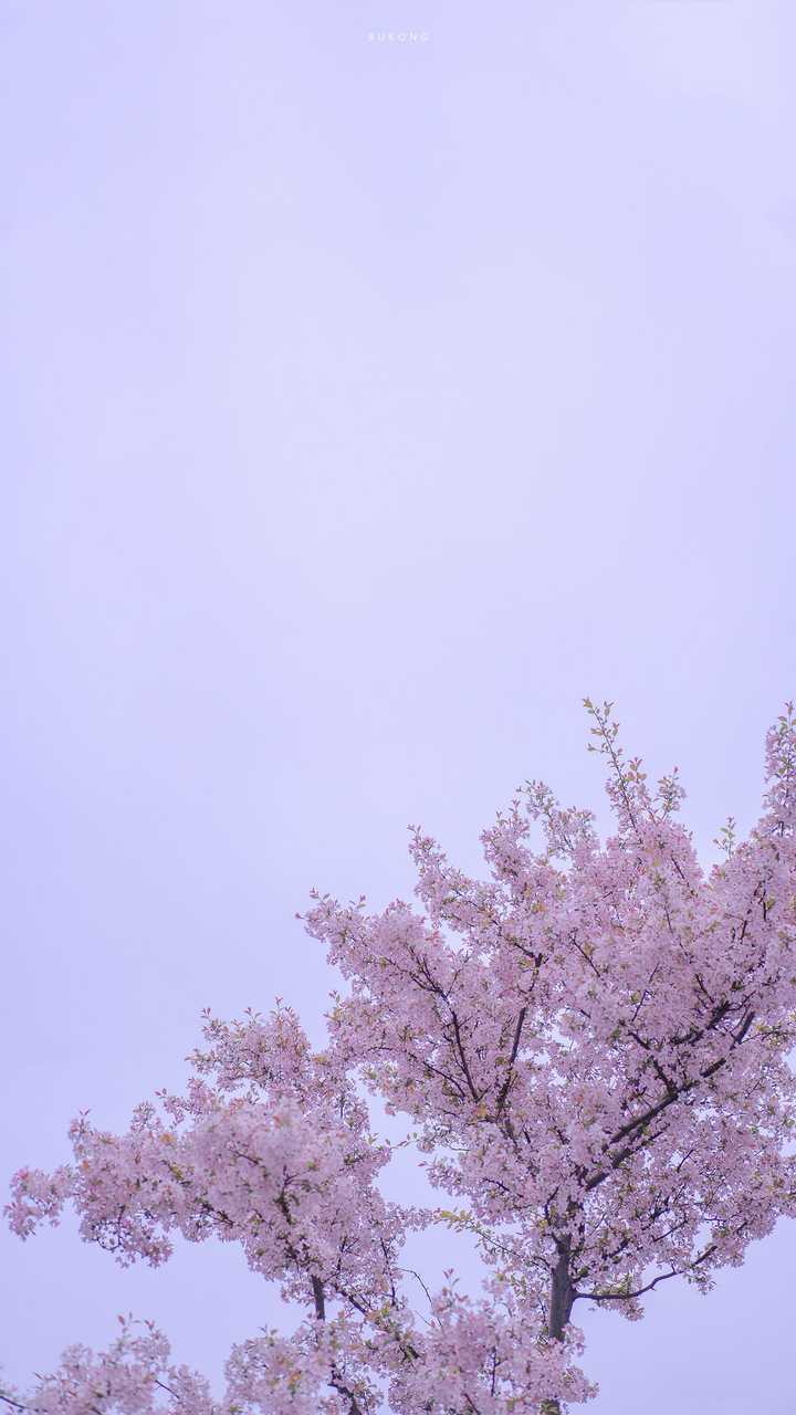 有那些一听就很温柔治愈的句子 知乎