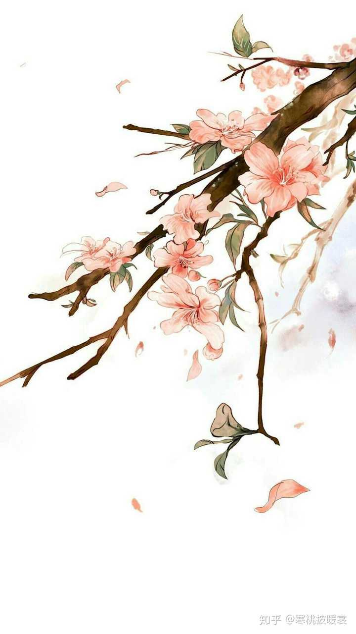 百合花壁纸复古 一束百合花图片 百合花壁纸高清图片