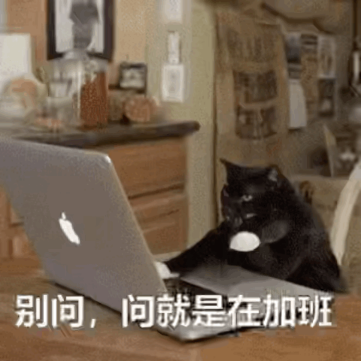 动图封面